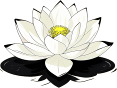 Lotus Flower